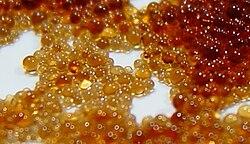 5 Key Innovations in Ion Exchange Resins - Cover Image