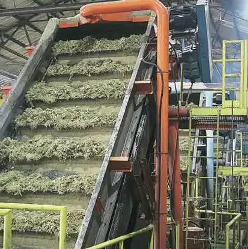 Mill Sanitation Chemicals
