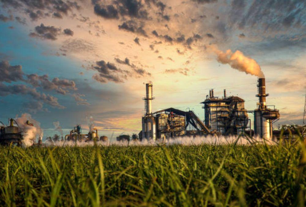 Sugar Process Chemicals